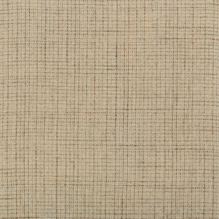 35606-16 by Kravet Design Fabric VISCOSE - 40%;COTTON - 21%;POLYESTER - 15%;ACRYLIC - 14%;LINEN - 10% Italy MEDIUM Horizontal: 0 and Vertical: 0 54 - Fabric Carolina -
