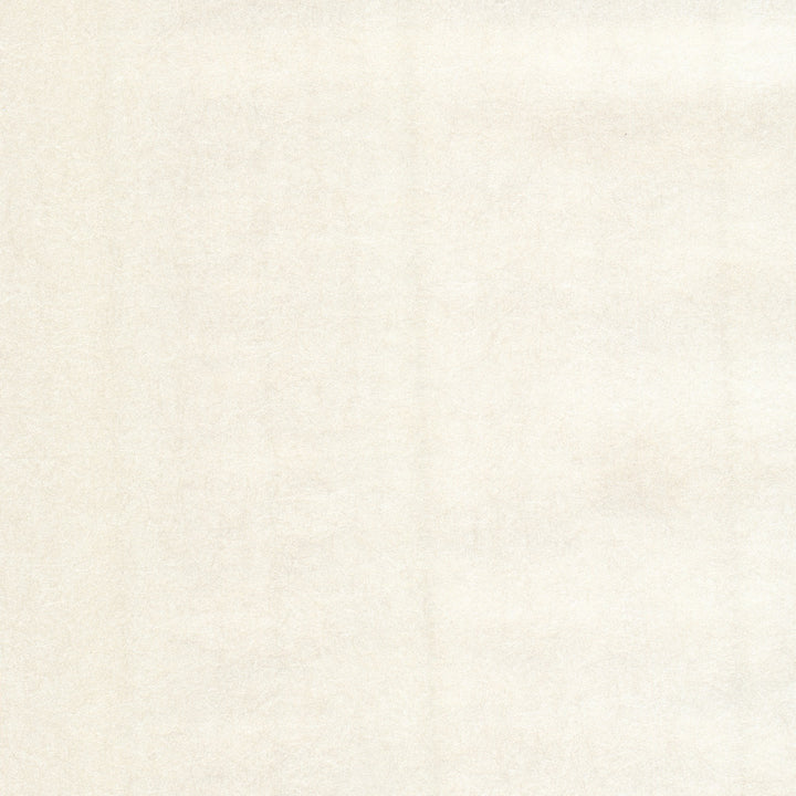 Luminosity Champagne Texture Wallpaper by Eijffinger Black & Light Covers about 56.4 square feet 20.5-in by 33-ft long roll Unpasted 0 - Fabric Carolina -