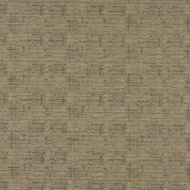 3562 Rosemary by Charlotte Fabric Decorative Durables XII 67% Olefin, 33% Polyester Made In USA Exceeds 150,000 Wyzenbeek Rubs (Heavy Duty) No Repeat 54 Inches - Fabric Carolina -