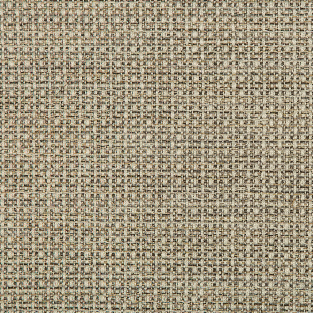 35642-1611 by Kravet Design Designer Fabric POLYESTER - 99%;NYLON - 1% United States HEAVY Horizontal: 0 and Vertical: 0 57 - Swanky Fabrics -