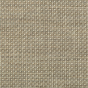 Kravet Design 35642-1611 by Kravet Design Fabric
