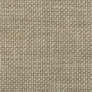 Kravet Design 35642-1611 by Kravet Design Fabric
