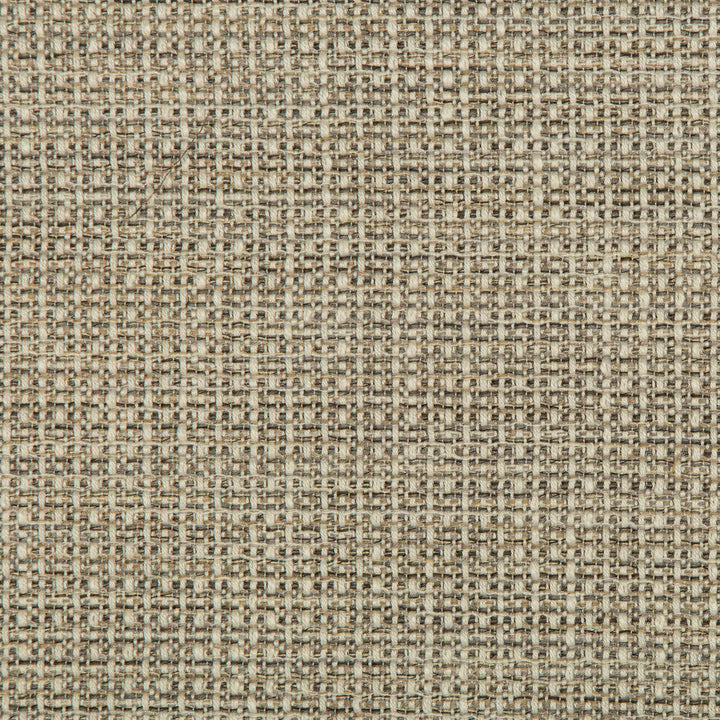 35642-1611 by Kravet Design Designer Fabric POLYESTER - 99%;NYLON - 1% United States HEAVY Horizontal: 0 and Vertical: 0 57 - Swanky Fabrics -