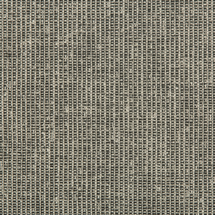 35665-21 by Kravet Design Fabric POLYESTER - 76%;COTTON - 24% Turkey HEAVY Horizontal: and Vertical: 54 - Fabric Carolina -