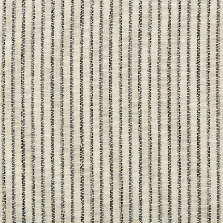35670-816 by Kravet Design Fabric OLEFIN - 99%;POLYESTER - 1% United States HEAVY Horizontal: and Vertical: 55.5 - Fabric Carolina -