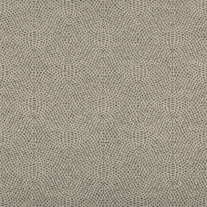 35699-11 by Kravet Design Fabric - POLYESTER - 100% India HEAVY Horizontal: 4.5 and Vertical: 4.5 55.5 - Fabric Carolina -