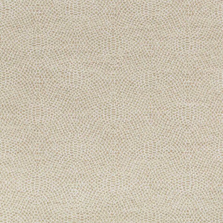 35699-16 by Kravet Design Fabric - POLYESTER - 100% India HEAVY Horizontal: 4.5 and Vertical: 4.5 55.5 - Fabric Carolina -