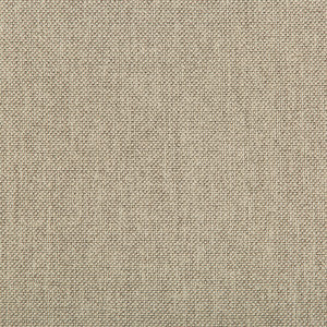 Williams Limestone by Kravet Contract Fabric