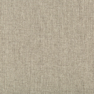 Williams Pumice by Kravet Contract Fabric