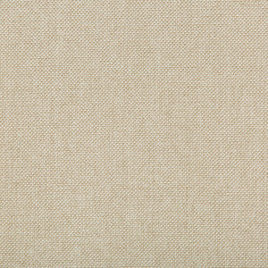 Williams Coconut by Kravet Contract Fabric