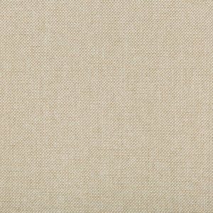 Williams Coconut by Kravet Contract Fabric