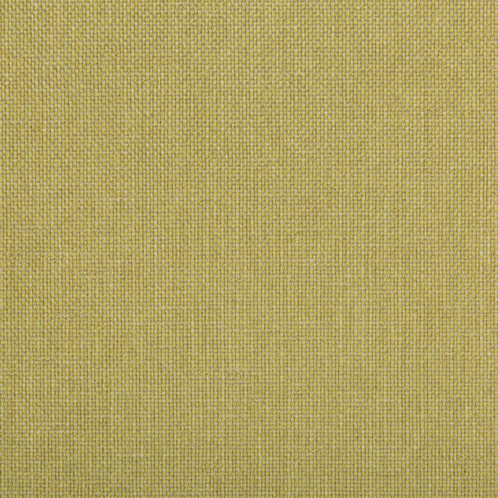 Williams Lemongrass by Kravet Contract Fabric VALUE KRAVETARMOR POLYESTER - 60%;OLEFIN - 40% United States HEAVY Horizontal: 0 and Vertical: 0 56 - Fabric Carolina -
