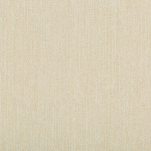 Williams Sea Salt by Kravet Contract Fabric