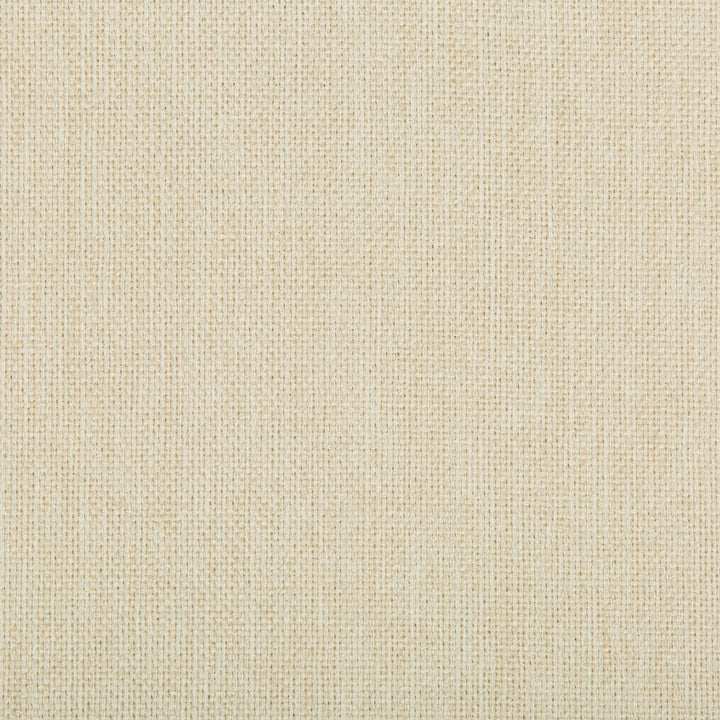 Williams Sea Salt by Kravet Contract Fabric VALUE KRAVETARMOR POLYESTER - 60%;OLEFIN - 40% United States HEAVY Horizontal: 0 and Vertical: 0 56 - Fabric Carolina -