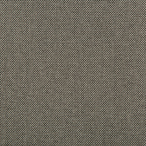 Williams Nickel by Kravet Contract Fabric