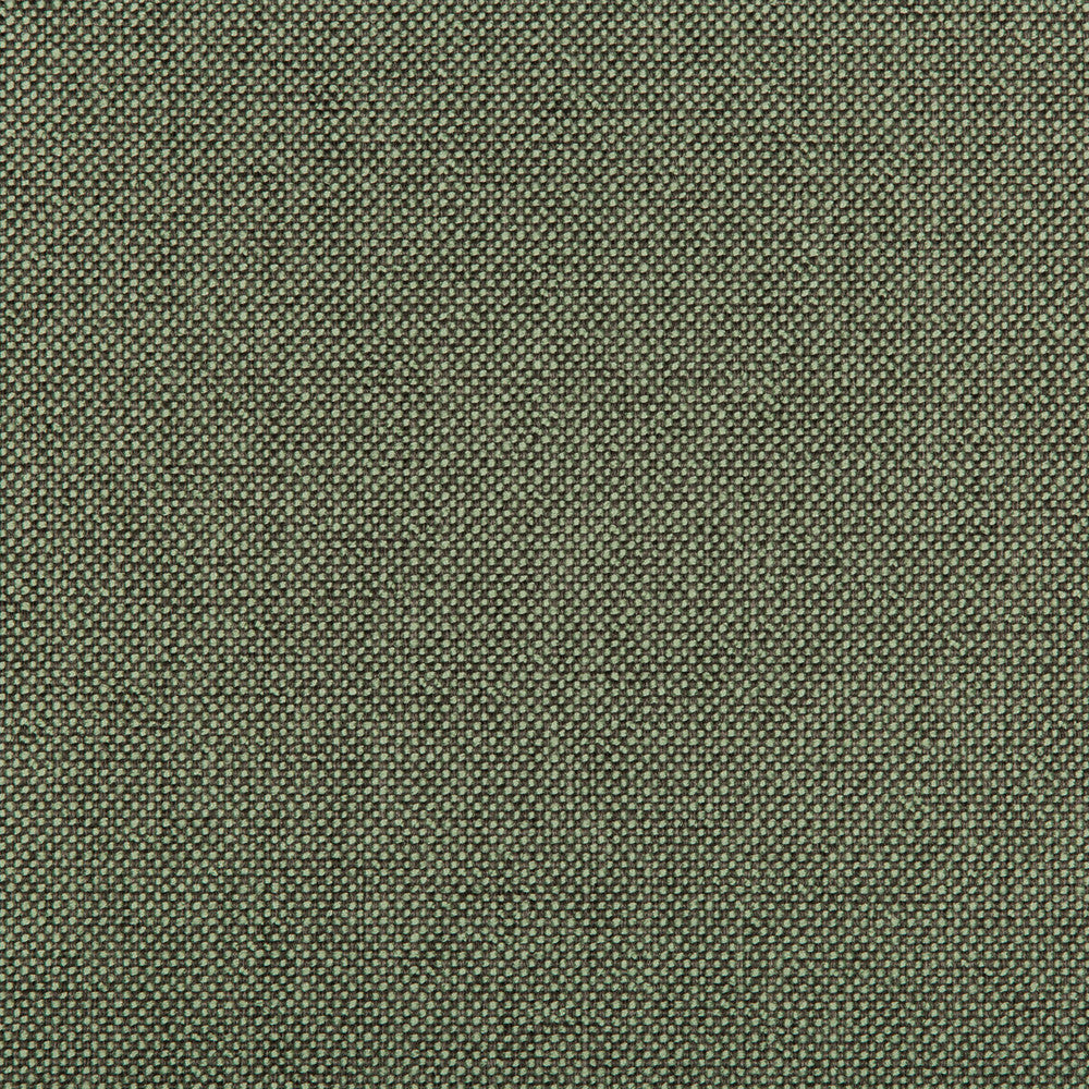 Williams Pistachio by Kravet Contract Fabric VALUE KRAVETARMOR POLYESTER - 60%;OLEFIN - 40% United States HEAVY Horizontal: 0 and Vertical: 0 56 - Fabric Carolina -