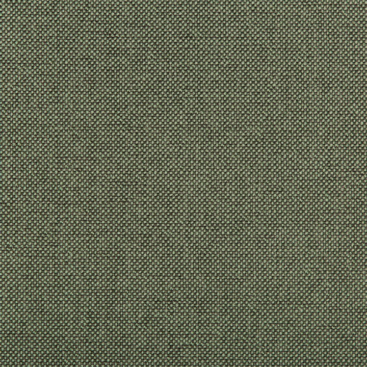 Williams Pistachio by Kravet Contract Fabric VALUE KRAVETARMOR POLYESTER - 60%;OLEFIN - 40% United States HEAVY Horizontal: 0 and Vertical: 0 56 - Fabric Carolina -