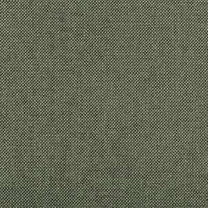 Williams Pistachio by Kravet Contract Fabric