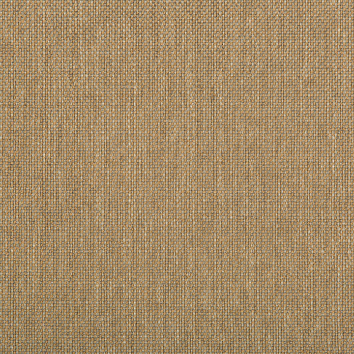 Williams Sandalwood by Kravet Contract Fabric VALUE KRAVETARMOR POLYESTER - 60%;OLEFIN - 40% United States HEAVY Horizontal: 0 and Vertical: 0 56 - Fabric Carolina -