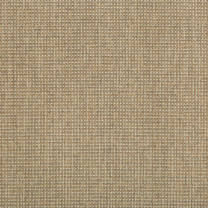 Burr Flax by Kravet Contract Fabric
