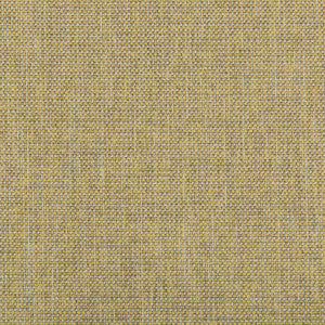 Burr Citron by Kravet Contract Fabric