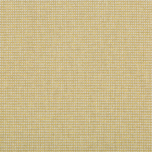 Burr Lemon Drop by Kravet Contract Fabric
