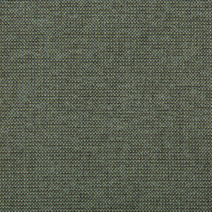 Burr Juniper by Kravet Contract Fabric