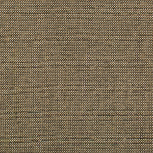 Burr Pecan by Kravet Contract Fabric