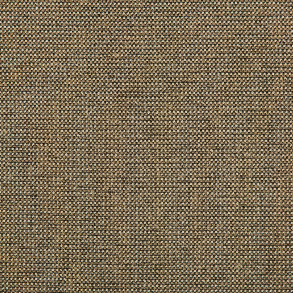 Burr Pecan by Kravet Contract Fabric VALUE KRAVETARMOR POLYESTER - 56%;OLEFIN - 44% United States HEAVY Horizontal: 0 and Vertical: 0 56 - Fabric Carolina -