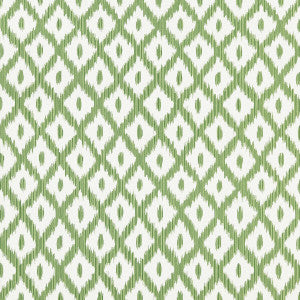 Pitigala Green by Kravet Basics Fabric