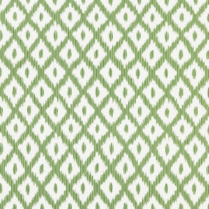 Pitigala Green by Kravet Basics Fabric