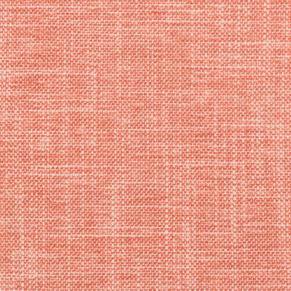 Okanda Coral by Kravet Smart Fabric PERFORMANCE KRAVETARMOR COTTON - 54%;POLYESTER - 46% India HEAVY Horizontal: and Vertical: 54 - Fabric Carolina -