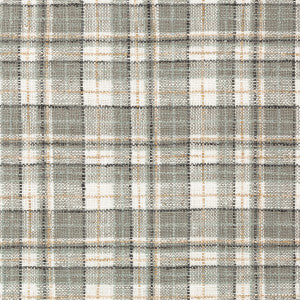 Pallepola Smoke by Kravet Basics Fabric