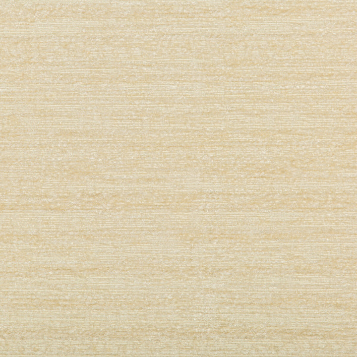 35779-114 by Kravet Smart Fabric PERFORMANCE POLYESTER - 72%;VISCOSE - 28% India HEAVY Horizontal: 0 and Vertical: 0 54 - Fabric Carolina -