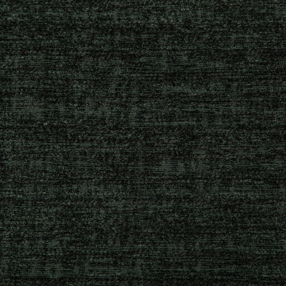 35779-30 by Kravet Smart Fabric PERFORMANCE POLYESTER - 72%;VISCOSE - 28% India HEAVY Horizontal: 0 and Vertical: 0 54 - Fabric Carolina -