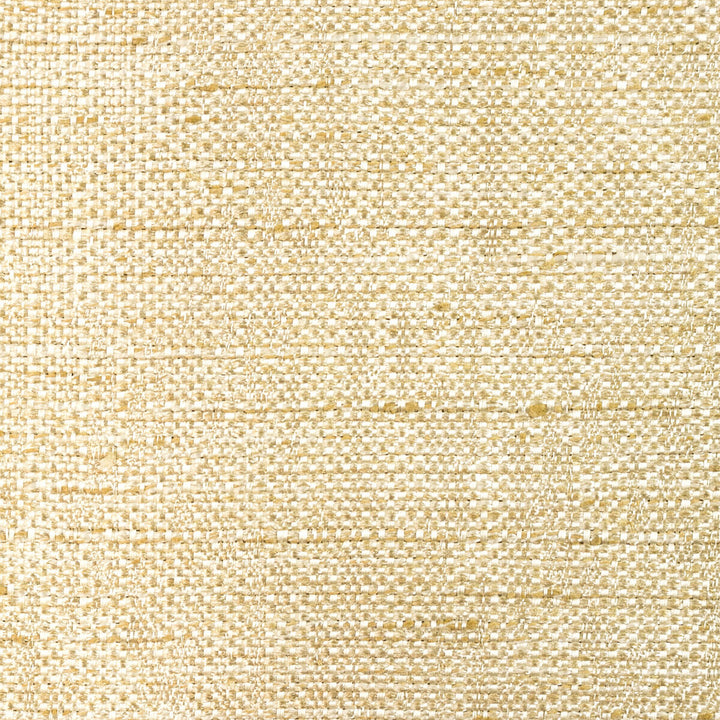 35784-16 by Kravet Basics Fabric - POLYESTER - 100% India HEAVY Horizontal: 0 and Vertical: 0 55 - Fabric Carolina -