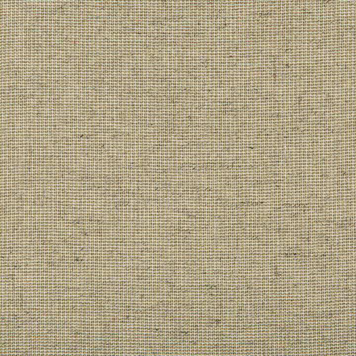 35785-340 by Kravet Basics Fabric BAMBOO - 90%;LINEN - 5%;LUREX - 5% India Horizontal: 0 and Vertical: 0 54 - Fabric Carolina -