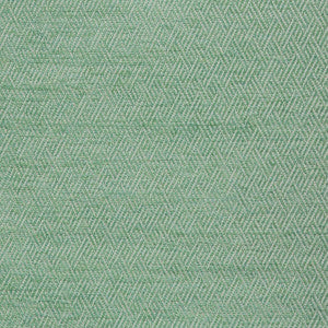 Basslet Aloe by Kravet Design Fabric