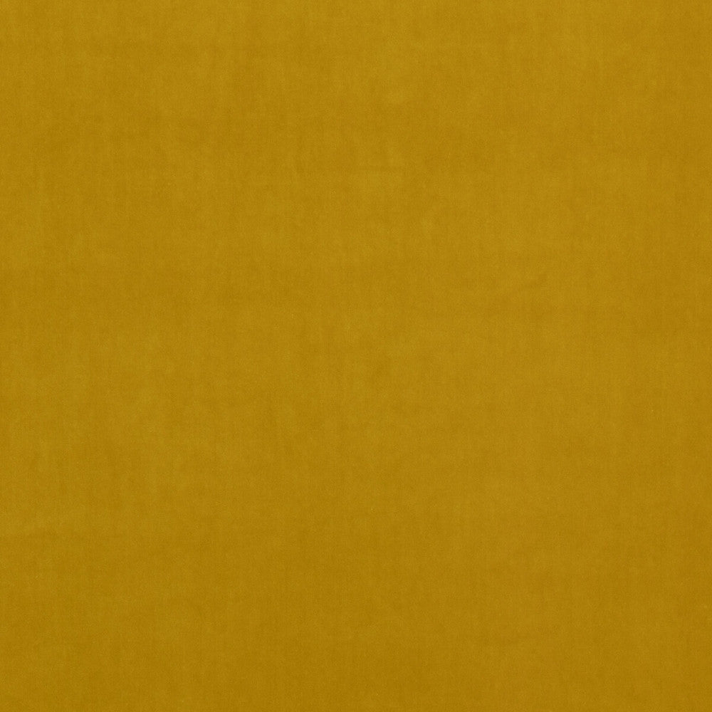 Lyla Velvet Ochre by Kravet Contract Fabric RIVIERA VELVET TREVIRA CS POLYESTER - 100% Belgium HEAVY Horizontal: and Vertical: 55.16 - Fabric Carolina -