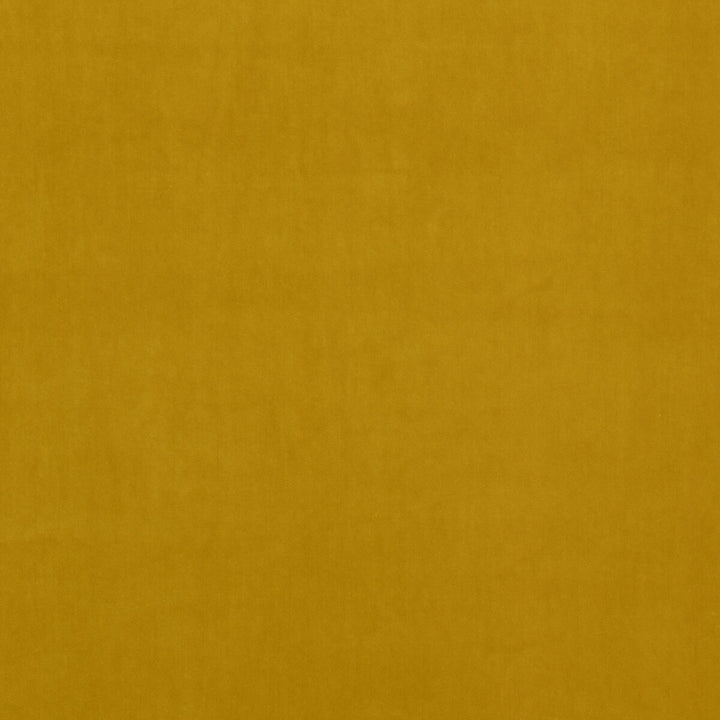 Lyla Velvet Ochre by Kravet Contract Fabric RIVIERA VELVET TREVIRA CS POLYESTER - 100% Belgium HEAVY Horizontal: and Vertical: 55.16 - Fabric Carolina -
