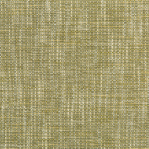 River Park Meadow by Kravet Contract Fabric