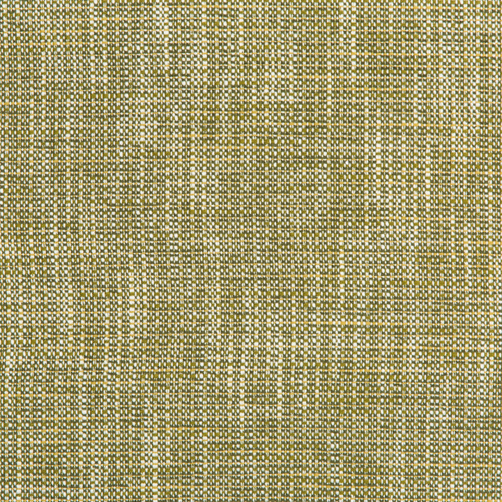 River Park Meadow by Kravet Contract Designer Fabric GIS CRYPTON POLYESTER - 94%;RECYCLED POLYESTER - 6% United States HEAVY Horizontal: and Vertical: 55 - Swanky Fabrics -