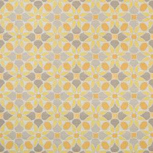 Tiepolo Citrus by Kravet Contract Fabric