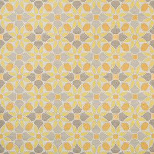 Tiepolo Citrus by Kravet Contract Fabric