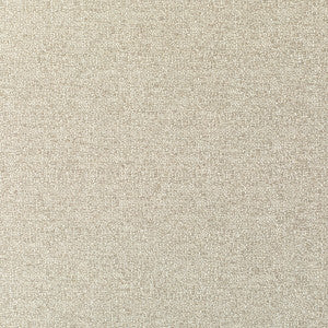 Truth Muslin by Kravet Couture Fabric