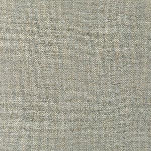 Pasaro Natural by Kravet Couture Fabric