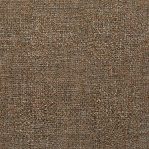 Pasaro Vicuna by Kravet Couture Fabric