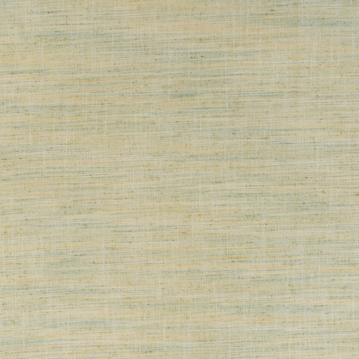 Groundcover Pear by Kravet Design Fabric BARBARA BARRY HOME MIDSUMMER POLYESTER - 100% India HEAVY Horizontal: 0 and Vertical: 0 54 - Fabric Carolina -
