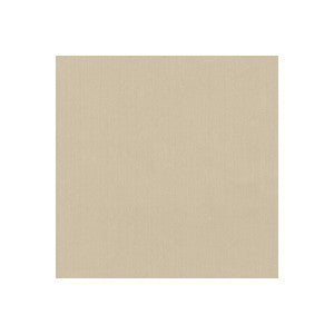 Kravet Basics 35916-1111 by Kravet Basics Fabric