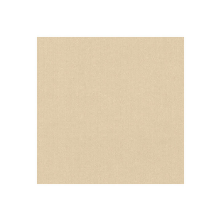 35916-111 by Kravet Basics Fabric POLYESTER FR - 100% India HEAVY Horizontal: 0 and Vertical: 0 54 - Fabric Carolina -